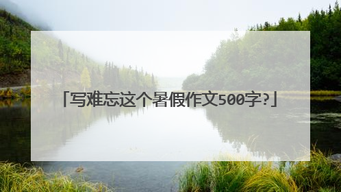 写难忘这个暑假作文500字?