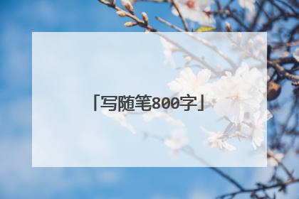 写随笔800字