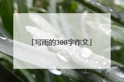 写雨的300字作文