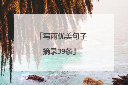写雨优美句子摘录39条