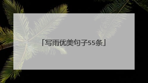 写雨优美句子55条
