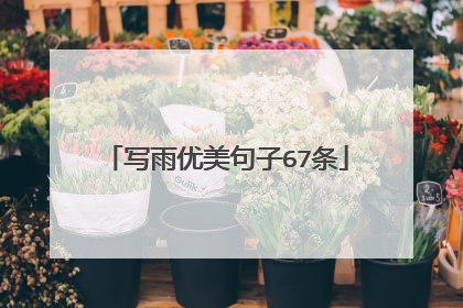 写雨优美句子67条