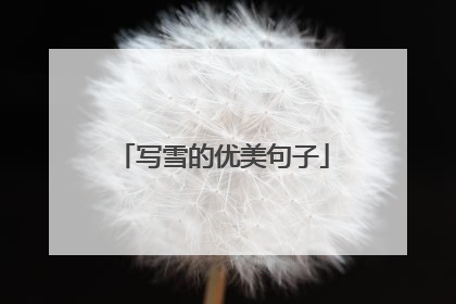 写雪的优美句子