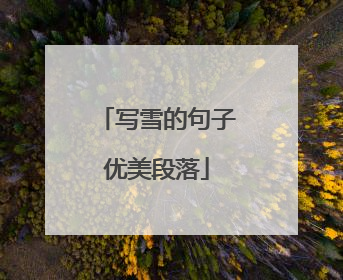 写雪的句子优美段落