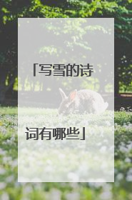 写雪的诗词有哪些