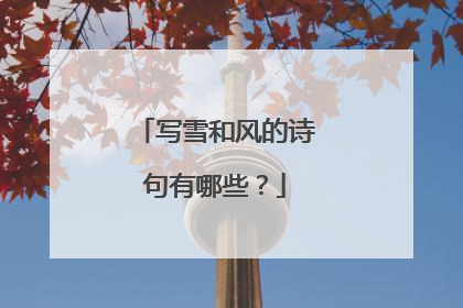 写雪和风的诗句有哪些?