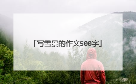 写雪景的作文500字