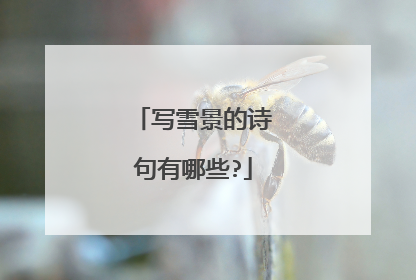 写雪景的诗句有哪些?