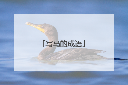 写马的成语