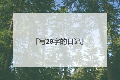 写20字的日记