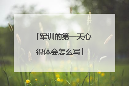 军训的第一天心得体会怎么写