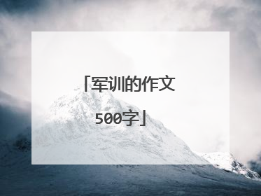 军训的作文500字