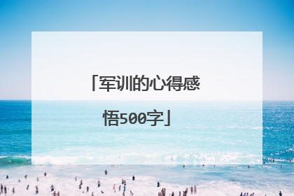 军训的心得感悟500字
