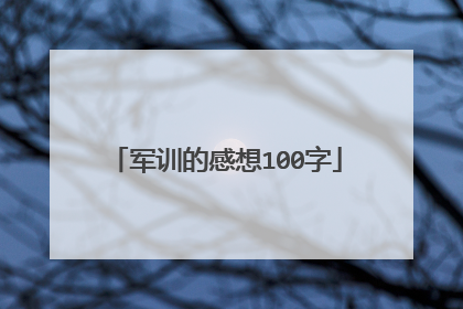军训的感想100字
