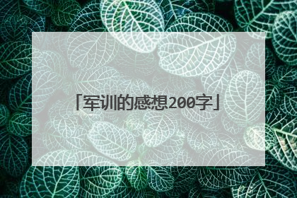 军训的感想200字