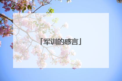 军训的感言