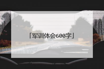 军训体会600字