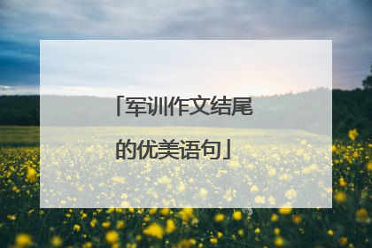 军训作文结尾的优美语句