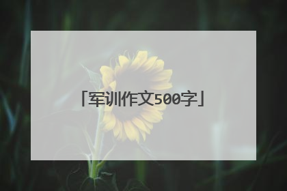 军训作文500字