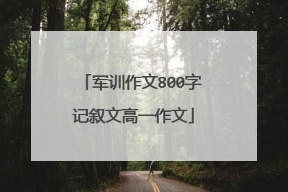 军训作文800字记叙文高一作文