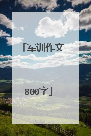军训作文800字