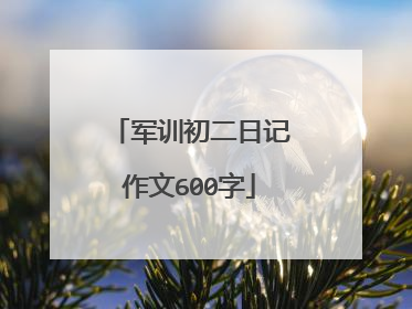 军训初二日记作文600字