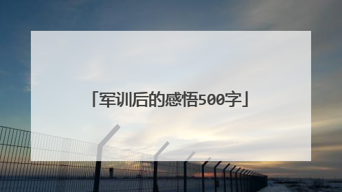 军训后的感悟500字