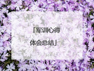 军训心得体会总结