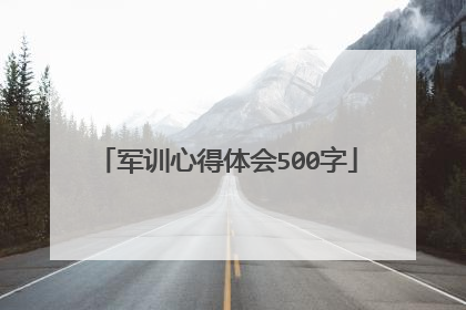 军训心得体会500字