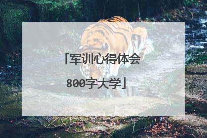 军训心得体会800字大学