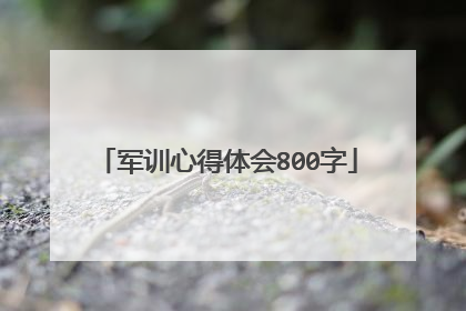 军训心得体会800字