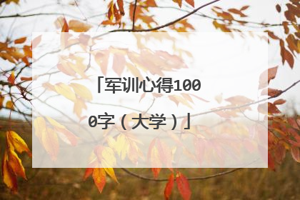 军训心得1000字(大学)