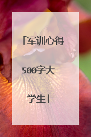 军训心得500字大学生