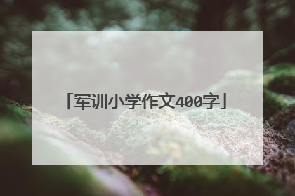 军训小学作文400字