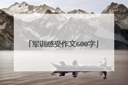 军训感受作文600字