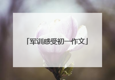 军训感受初一作文