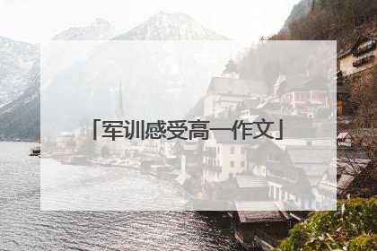 军训感受高一作文