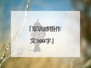 军训感悟作文300字
