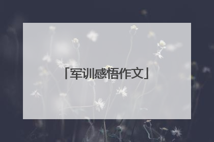 军训感悟作文