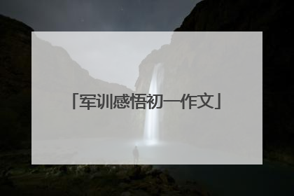 军训感悟初一作文