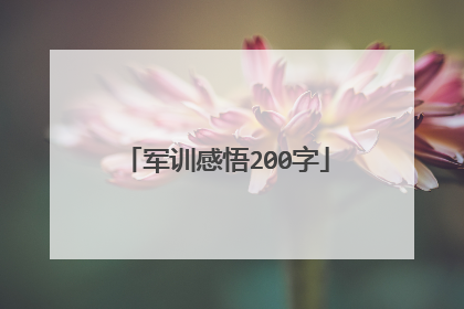 军训感悟200字