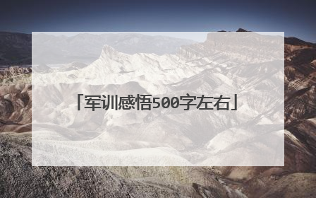 军训感悟500字左右