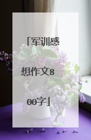 军训感想作文800字