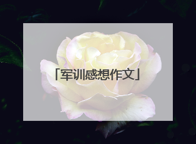 军训感想作文