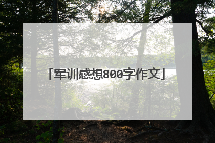军训感想800字作文