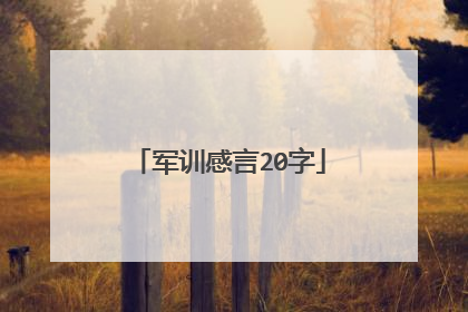 军训感言20字