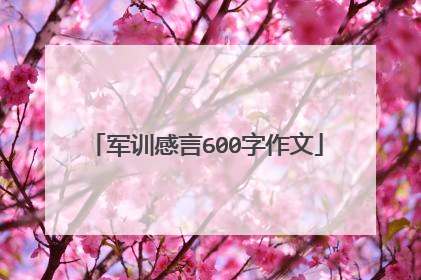 军训感言600字作文