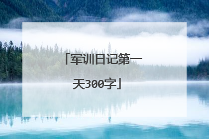 军训日记第一天300字