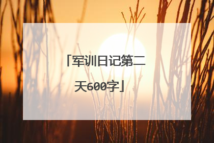 军训日记第二天600字