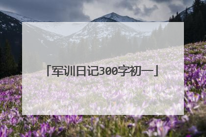 军训日记300字初一
